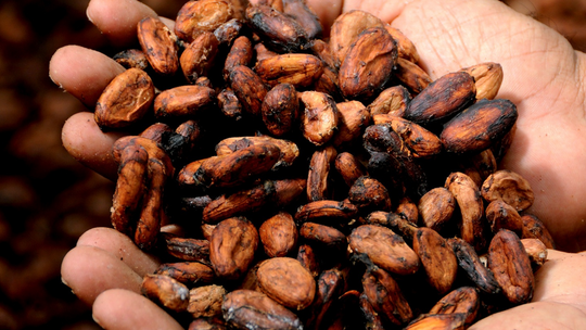 4 bénéfices du cacao pour la peau