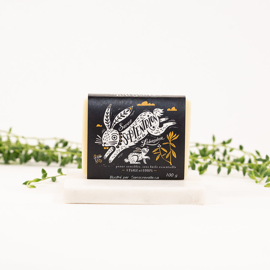 Septentrion soap (cocoa butter and Labrador tea) Vegan - Les Mauvaises Herbes