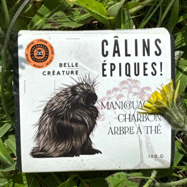 Woops Câlin Épique - argile de manicouagan, charbon, cumin noir et théier