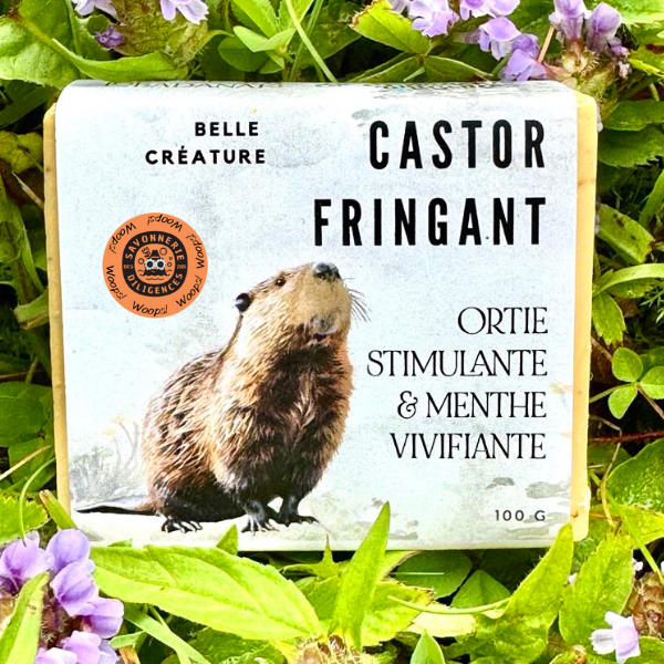 Woops Castor Fringant - genévrier et menthe verte