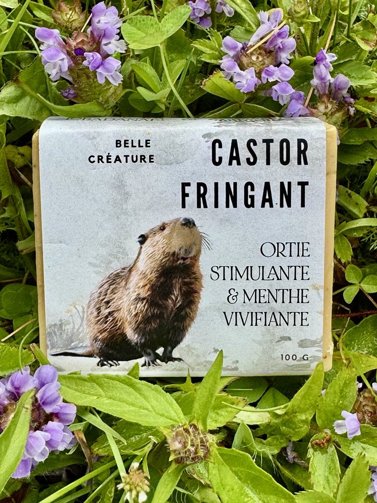 Castor Fringant - genévrier et menthe verte